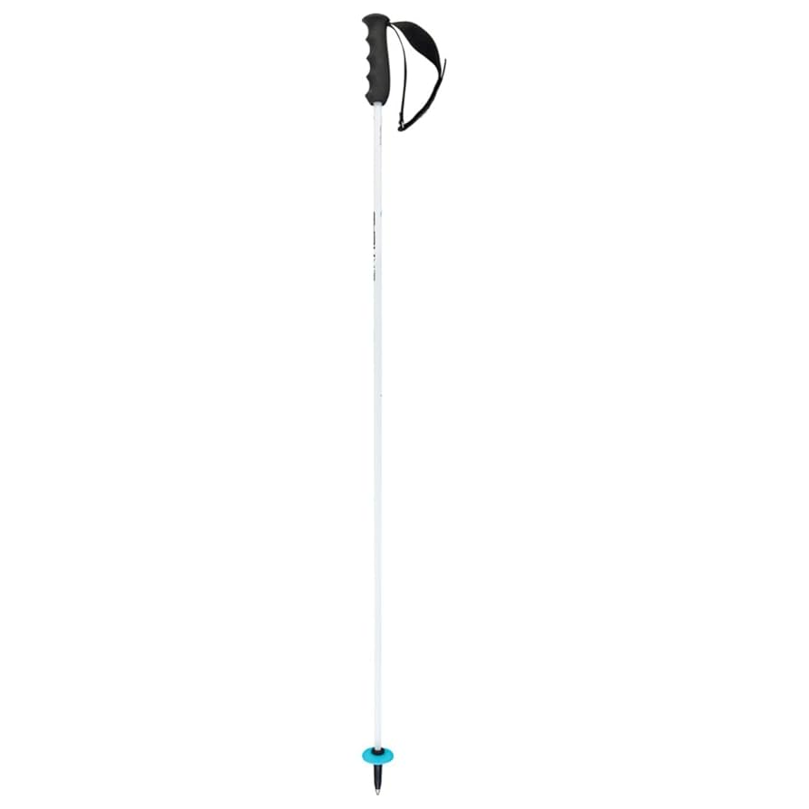 ストックHead Worldcup Rebels Carbon Race HEAD Unisex Adult Worldcup Rebels Carbon Ski Poles, White