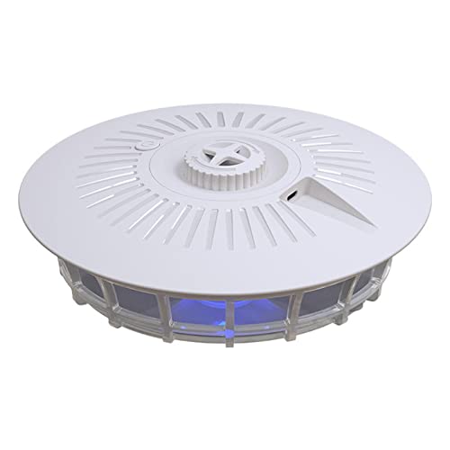 How to use glue traps for bed bugs How to use glue traps for bed bugs