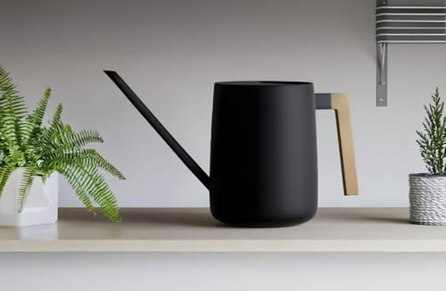 Watering Can for Indoor Plants, 33 oz/1 Liter Metal Stainless Steel Pot with Long Spout for House Plants (Matte Black)