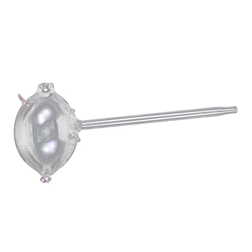 HIAKDOFT Esfera de Riego Automático para Plantas Dispositivo de Riego de Forma de Cerdo para Macetas Mantiene Hidratada Diseño Transparente para Decorar