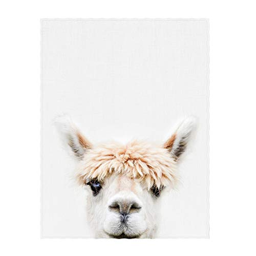 Qh 58 X 80 Inch Llama Pattern Super Soft Throw Blanket For Bed Couch Sofa Lightweight Travelling Camping Throw Size For Kids Adult All Season #TOP4