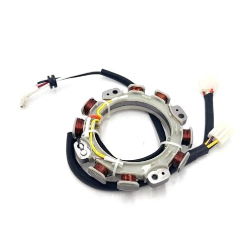 Stator Magneto 925-06298 MTD avec Régulateur 925-06299 : Réparez Votre Tracteur