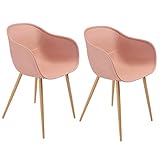 Arm Modern Chairs with Metal...