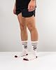TCK South Carolina Gamecocks Socks Vintage Soft Cotton Sock with Stripes| Garnet & Black University of South Carolina | College Fan Gameday Apparel for Men & Women | Men's & Women's (Large) #4