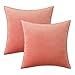 MIULEE Funda de Cojines para Sofá Funda de Almohadas de Terciopelo Suave Almohada Decorativa Moderna Funda Cojin para Sala de Estar Cama Silla Dormitorio 2 Piezas 50x50 cm Rojo Coral