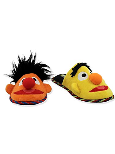 Sesame Street Bert Ernie Scuff Mism…