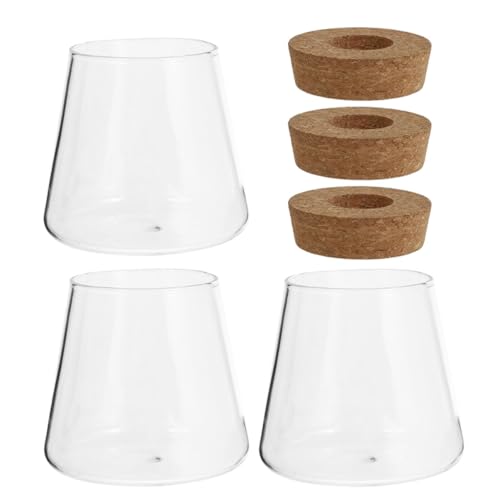 Alipis 3 Piezas Estación de Propagación de Plantas con Jarrones de Vidrio Transparente y Tapa de Madera Macetas Hidropónicas para Escritorio Decoración Elegante para Hogar y Oficina