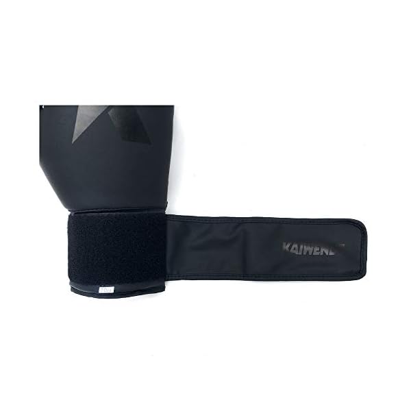 Boxing-Gloves-6oz-8oz-10oz-12oz-14oz-16oz-Punching-Bag-Mitts-Muay-ThaiUFC-MMA-Kickboxing-Fight-Training-Gloves-by-KAIWENDE-BX01 Boxing Gloves (6oz, 8oz, 10oz, 12oz, 14oz, 16oz) Punching Bag Mitts, Muay Thai, Kickboxing Fight Training Gloves by KAIWENDE-BX01 (HH-Black, 10 oz)