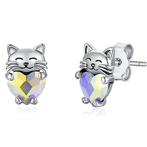 Pendientes de gato en plata de ley 925 auténtica y aretes de aro con cristal fino