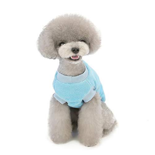SMALLLEE_LUCKY_STORE Pet Fleece Jumper for Small Dogs Cat Girl Boy Cozy Soft Pullover Sweater Shirt Sweatshirts Warm Winter Coat Puppy Yokie Chihuahua Clothes Flower Pattern,Blue,Size M - Image 3