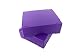 Premiere Brand 25 Capacity Microscope Slide Storage Box - Purple - ABS Plastic Cork Lined - Self Locking - Stackable