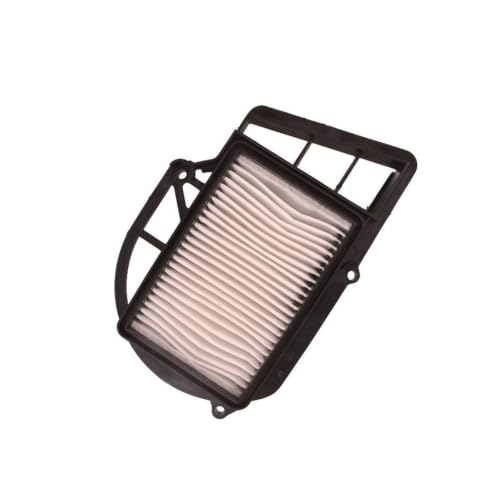 Filtre à air moto 250CC compatible avec le système d'admission YP250 X-max A