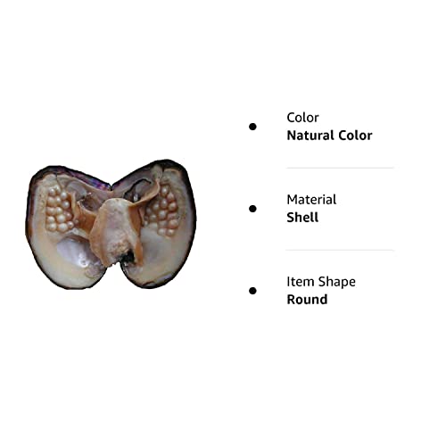 Newegg Big Oyster Pearl Party Pearl Freshwater Cultured Oval Pearl Beads (5-7Mm 28 Pcs/Lot) Oysters With Pearl Inside Anniversary Decoration For Women #TOP7