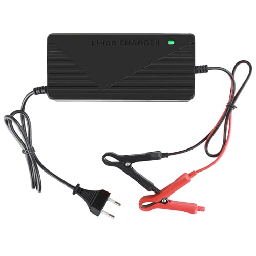 Cargador de baterías de litio de hierro fosfato de 14,6 V 10 A, alta eficiencia, indicador LED, con protección contra sobrecalentamiento, optimizado para batería LiFePO4