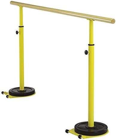 Slaves Sport – Bar Art 6042, Transportable Dance 3