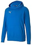 PUMA Jungen Pullover, Electric Blue Lemonade, 176