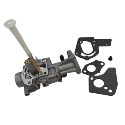Carburateur 495459 anti-calage pour redémarrer moteur 5HP série 130217