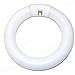 Eiko FC8T9/CW Circline T-9 G10Q Base Halogen Bulb, 22W, Cool White