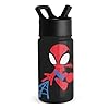 Simple Modern Spiderman Kids Water Bottle with Straw Lid | Marvel Insulated Stainless Steel Reusable Tumbler Gifts for School, Toddlers, Boys | Summit Collection | 14oz, Spidey Kid