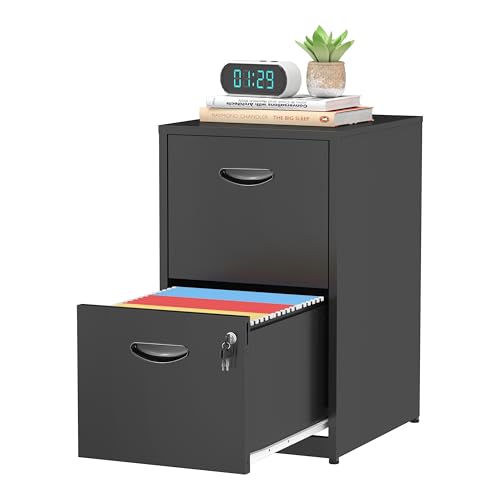 TIMELESS PIECES 2 Drawer File Cabinet with Lock,Black Small Filing