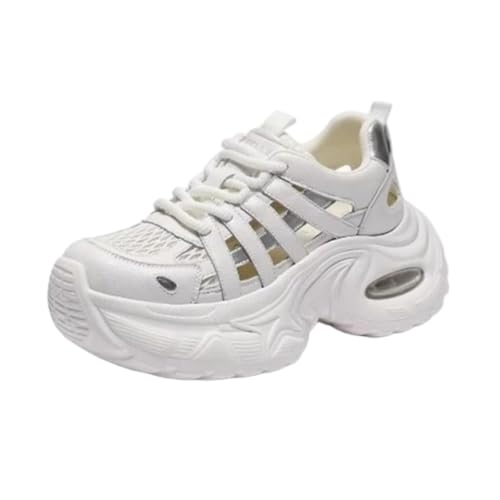 [X^CK[] Xj[J[ fB[X _bhV[Y  y ʋC bV h݌v ^C WMO ʋ ʊw p AEghA Lv x_  O (zCg,24.0 cm) [sAi]