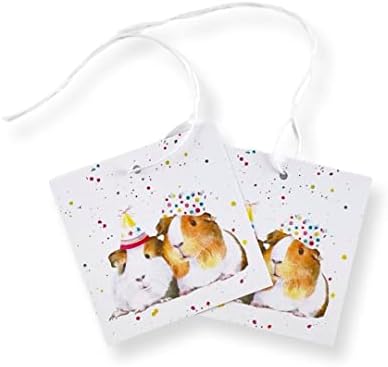 Guinea Pig Party Gift Wrapping Paper, 2 Sheets and Tags