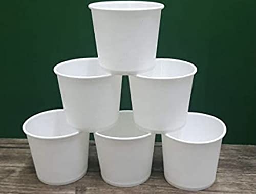 MM Foodservice White Paper Ice Cream Cups, Disposable Paper Frozen Yogurt Cups, Leak Resistant Paper Cups (100, 12-Ounce)