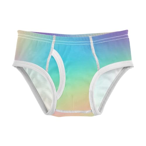 ODAWA Boys' Boxer Briefs Soft Prismatic Rainbow Gradient Cotton Boys Underwear Boys Boxer Briefs 5t