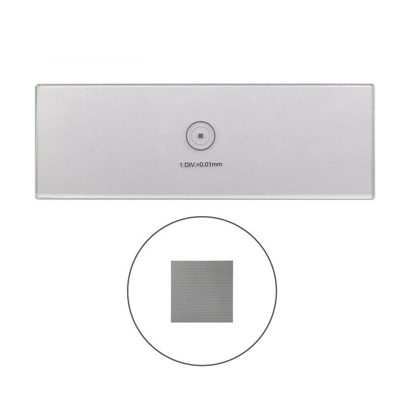 DIV 0.01mm Microscope Stage Micrometer 100x100 Grid Net - Foto 3