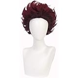 不死川実弥 ウィッグ 鬼滅の刃 不死川実弥 コスプレ ウィッグ ウィッグネット付き