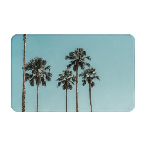 Palm Tree Print Living Room Bathroom Kitchen Anti Slip and Absorbent Carpet, Indoor Entrance Door Muddy Floor Mat, Ultra Soft Washable Carpet 21x31.5 Inches
