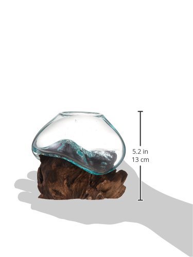 Cohasset Molten Glass | #650-12 | Molten Glass & Wood Sculpture | Terrarium | Fairy Garden | Approximately 4.5" Wide | Natural Wood and Recycled Glass | - Thumbnail 4