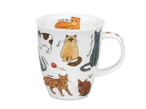 Dunoon Bone China Kaffeetasse 480 ml Nevis Cats Becher mit Katzenrassen Motiv - Große Teetasse 0 48l 112 mm hoch Ø 100 mm hochwertige Porzellantasse spülmaschinenfest Geschenkidee