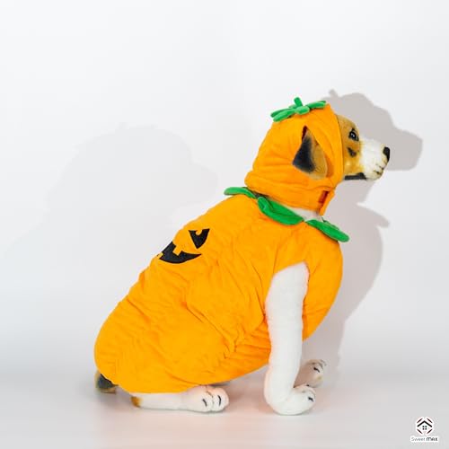 Disfraz de Calabaza para Perros Talla M miniatura 3