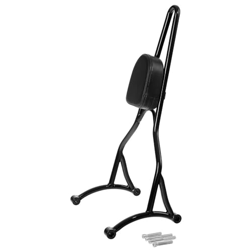 Sissy bar support de dossier passager pour cadre arrière Sportster XL883 1200 48 2009-2024
