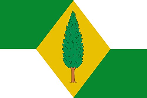 Drapeau Large Busbanzá Boyacá résistant pour mât extérieur - 2