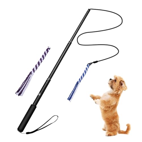 Outdoor Dog Flirt Pole, Interactive Pet Teaser Stick, Portable Puppy Chewing Toy, Detachable Rope Tugs, Sturdy Outdoor Play & Li