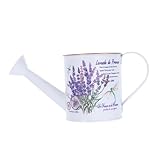 Arrosoir fonctionnel : sa conception lui permet d'être utilisé pour les plantes, ajoutant ainsi une touche pratique à son attrait esthétique, arrosoir de plage, mini arrosoir en fer