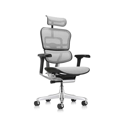Eurotech Seating Ergohuman High Back Mesh Managers Chair, Grey