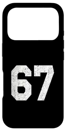 W[WjtH[io[#67A67΂̒a X}zP[X iPhone 17 Pro p