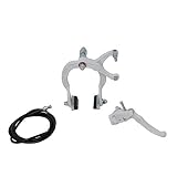 Fenix Cycles Classic MX Brake Alloy Bicycle (White, Rear)