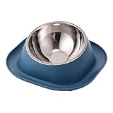 GRPET No Spill Cat Bowl Ant Proof Cat Dish for Kitten Pet Dog Small Animals Blue S