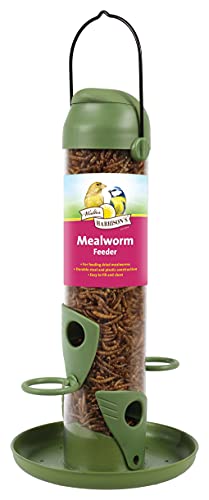 Walter Harrison's Wild Bird - Comedero Cover