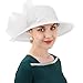 DRESHOW Lady Derby Dress Church Bowler Cloche Hat Bowknot Organza Bridal Cap for Wedding