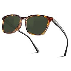 Tortoise Frame/G-15 Polarized