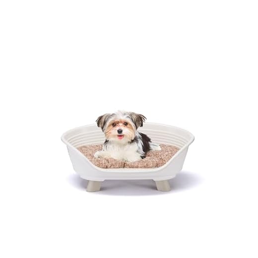 Ferplast Panier Chien, Panier Chat avec Coussin en Coton, Lit sureleve Chien, Lit pour Chien en Plastique Recyclé, Corbeille Chien, Lit Chat, Respirant Antidérapant, Throne 61,5 x 45 x h 26 cm, Blanc