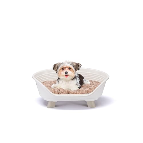 Ferplast Lit surélevé en Plastique pour Chien et Chat avec Coussin en Coton, lit Lavable en Plastique Respirant et antidérapant, Motif Throne 61,5 x 45 x h...