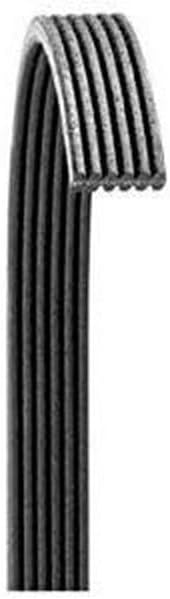 Dayco 5070539 Serpentine Belt