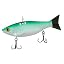 Citrus Shad
