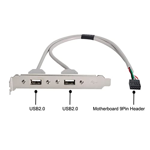 Image of CY Cable Dual USB 2.0 A Type Female to Motherboard 9Pin 10Pin USB Header Cable with PCI-E Bracket Screw Panel
